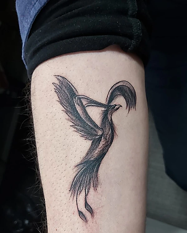 Ave de cola larga en negro y gris con trazo suelto, en el brazo