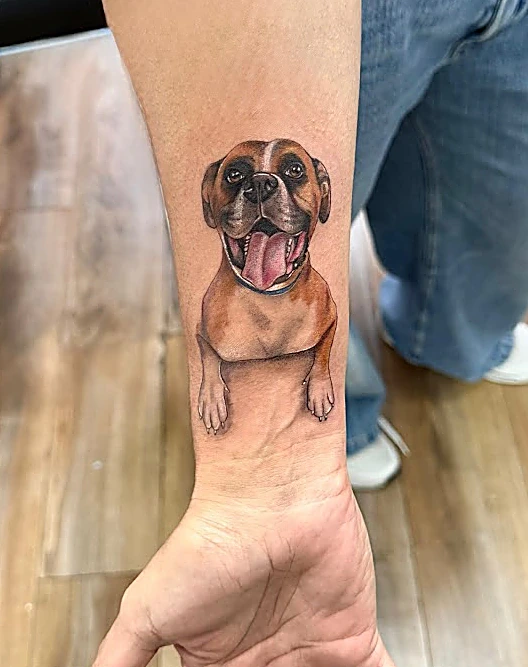 Retrato a color de un perro bóxer sonriendo con la lengua de fuera, en el antebrazo